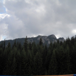 DSCN4643