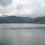 DSCN4649