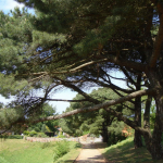 DSC02049