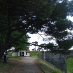 DSC02058