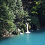 DSCF0228