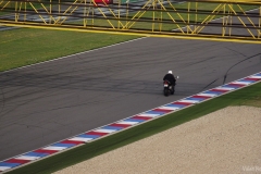 Iepuraşu' la Brno (2011)