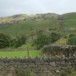 DSC02356