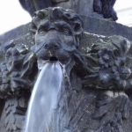 DSC00861