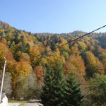 DSC00770